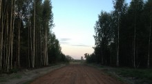 Новые участки в экологических поселках "Отрадное" и "Родославное"
